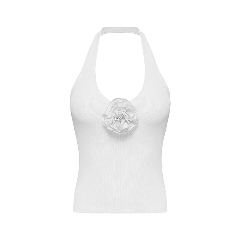 Halter Neck Backless Yoga Top – Slim Fit Sports top